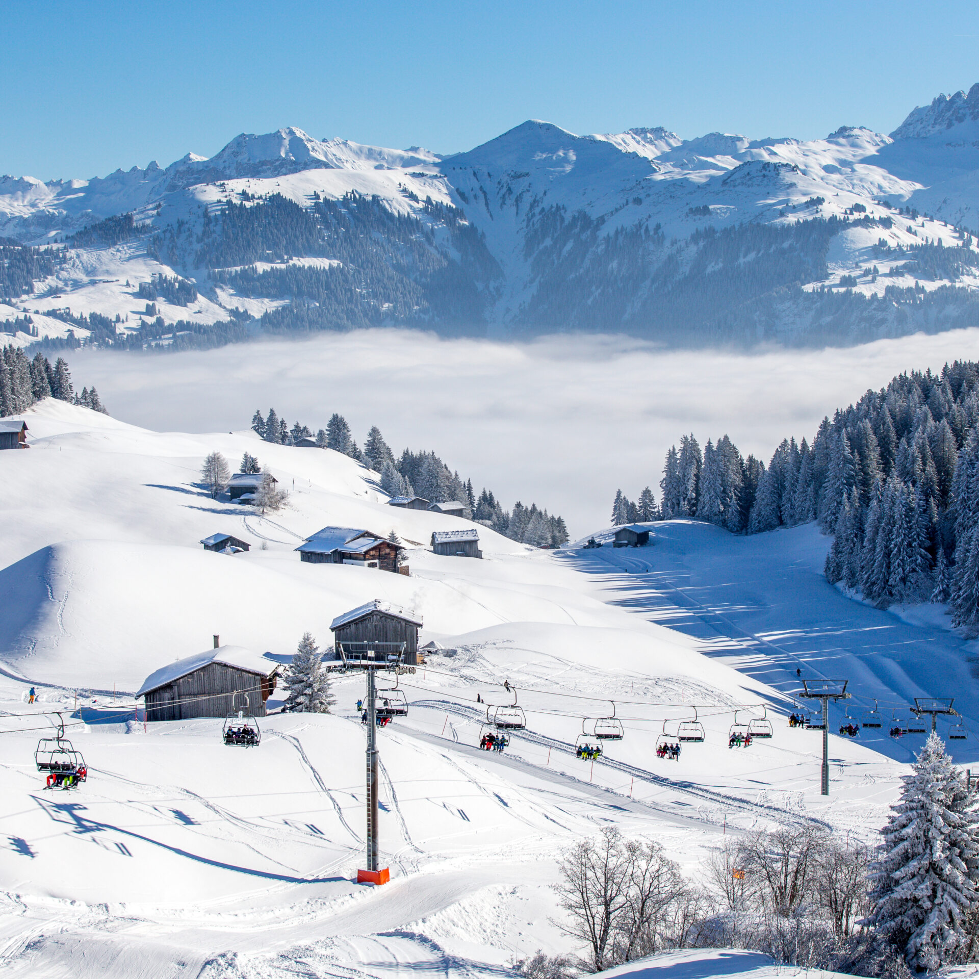 150207 Werbefotos Gruesch Danusa 42