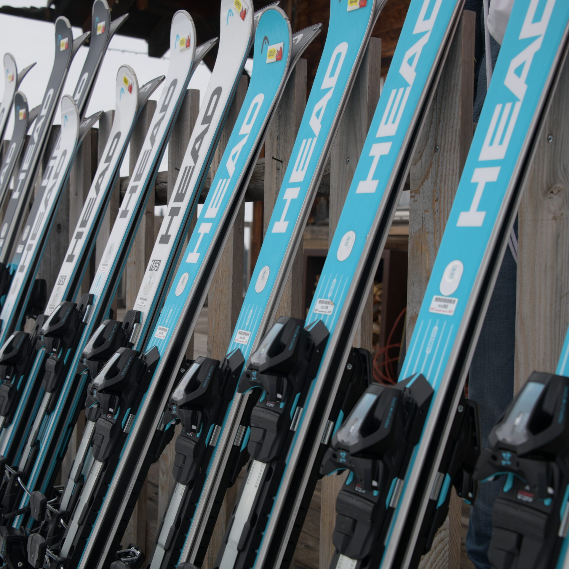 Eine Reihe von hellblauen und weissen Head Skis, an einen Holzzaun gelehnt