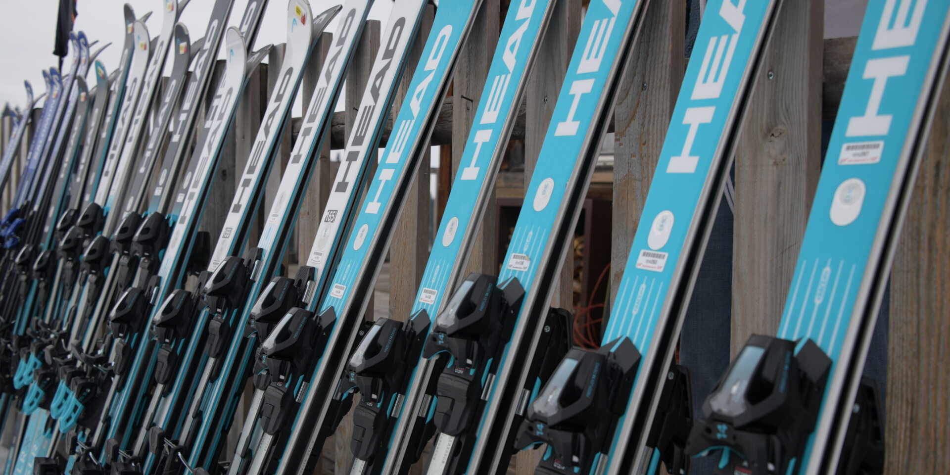 Eine Reihe von hellblauen und weissen Head Skis, an einen Holzzaun gelehnt