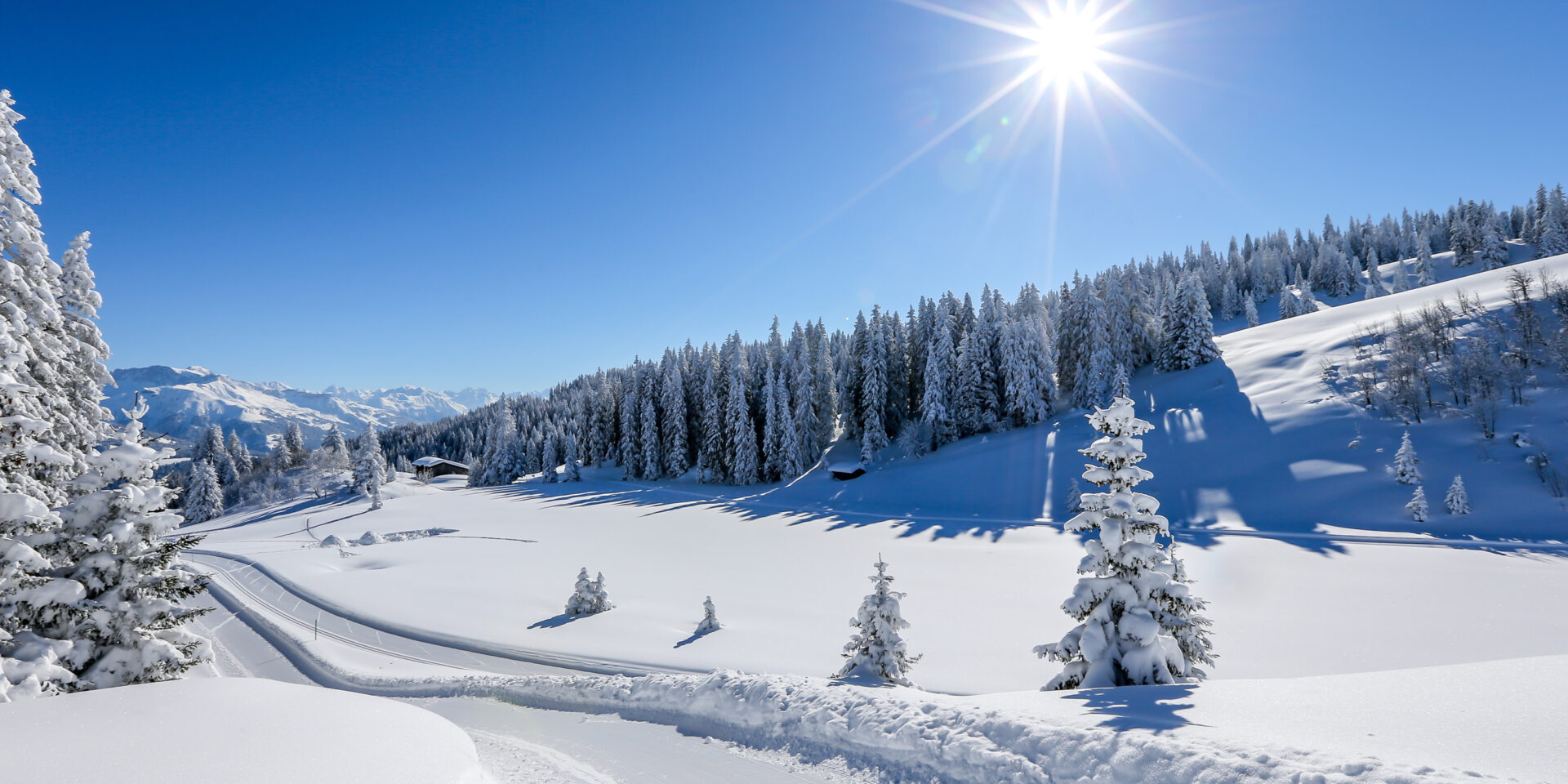 Gruesch Danusa Winterwanderweg