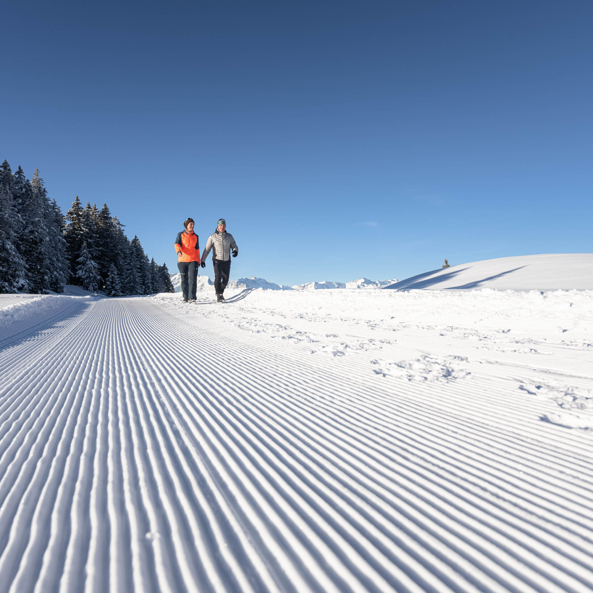 DSC7649 gruen schoen am Morgen auf frisch gemachter Piste