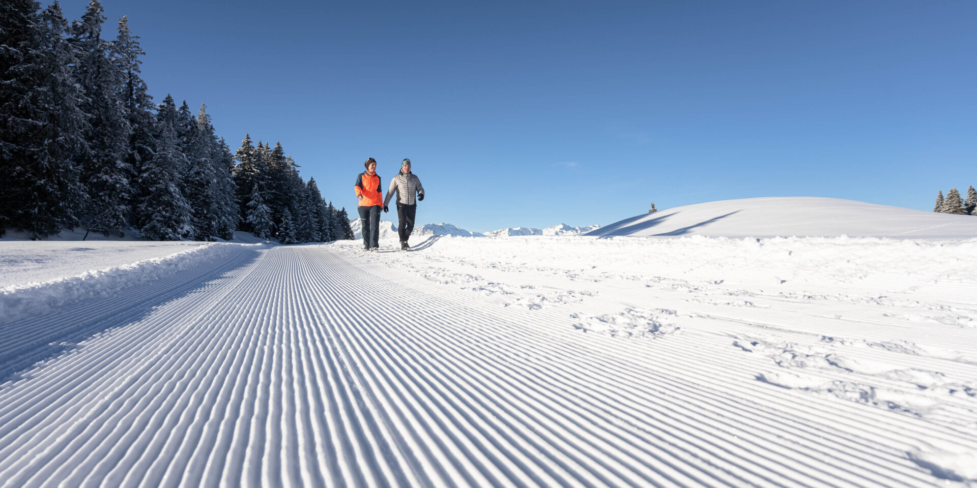 DSC7649 gruen schoen am Morgen auf frisch gemachter Piste